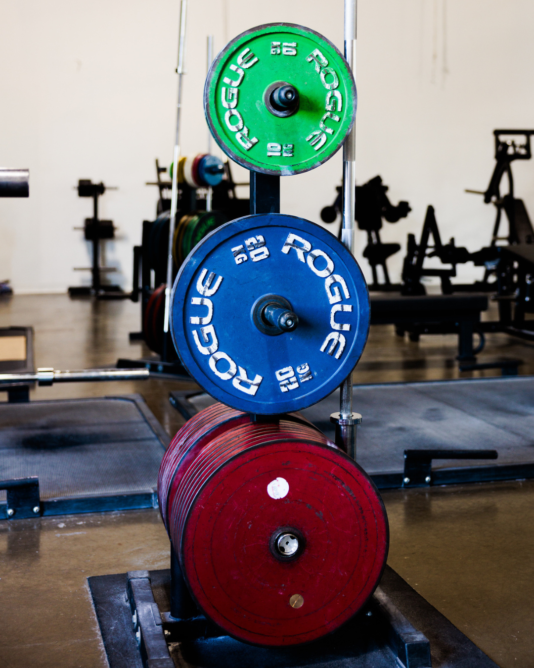 Remote programming support for athletes